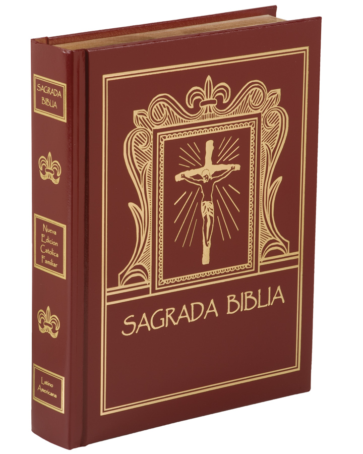 Biblia Catolica Latinoamericana Letra Grande Pdf