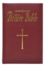 New Catholic Picture Bible