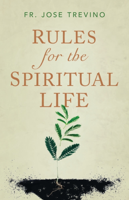 Rules for the Spiritual Life by Jose Trevino (9781644139028)