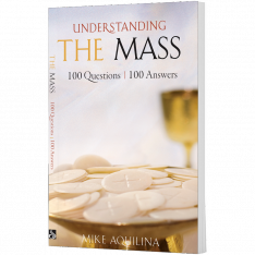 Understanding the Mass: 100 Questions, 100 Answers