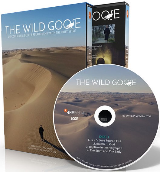 The Wild Goose DVD Set by Fr. Dave Pivonka (867616000202)