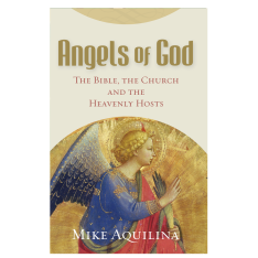 Angels of God: The Bible, the Church and the Heavenly Hosts