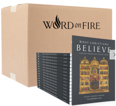 What Christians Believe - Box of 20