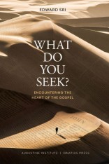 What do you Seek? Encountering the Heart of the Gospel (Paperback)
