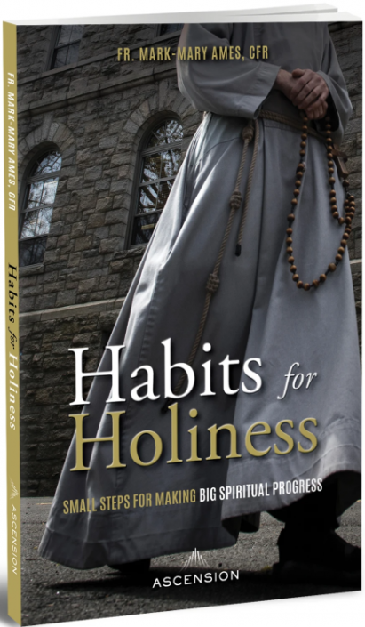Big　Ames　Holiness:　Mark-Mary　Spiritual　Small　for　Fr.　by　Progress　for　Making　Steps　Habits　(9781950784608)