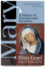 Mary: A History of Doctrine and Devotion