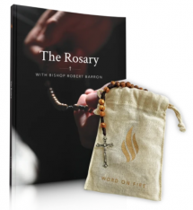 The Word on Fire Rosary + Book Bundle