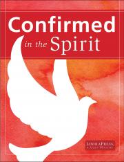 Confirmed in the Spirit 2014: Young People's Book (English)