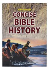 Concise Bible History: A Clear and Readable Account Of The History Of Salvation