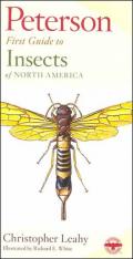 Peterson First Guide to Insects of North America