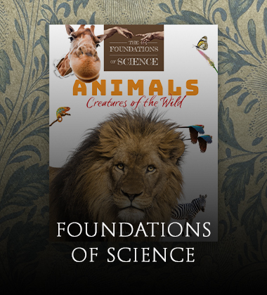 Foundations of Science