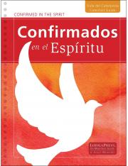 Confirmed in the Spirit 2014: Catechist Guide and DVD (Bilingual)