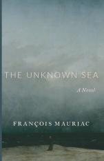 The Unknown Sea: A Novel