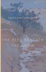 The Seed Beneath The Snow: A Novel (Vol. 3 of the Abruzzo Trilogy)
