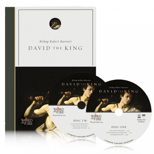 David the King - DVD by Bishop Robert Barron (WF-383)