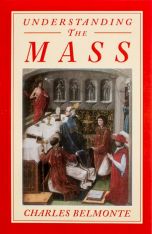 Understanding the Mass