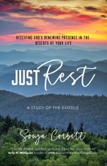 Just Rest: Receiving God’s Renewing Presence in the Deserts of Your Life