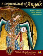 A Scriptural Study of Angels Study Guide