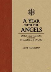 A Year with the Angels (Deluxe Leatherette)