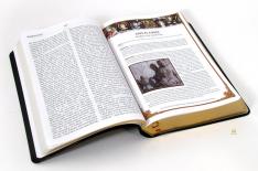 RSV-CE Catholic Scripture Study Bible (Large Print)