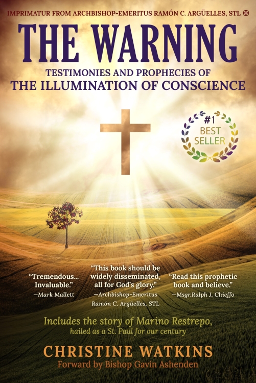 The Warning Testimonies And Prophecies Of The Illumination Of Conscience By Christine Watkins 9781947701090
