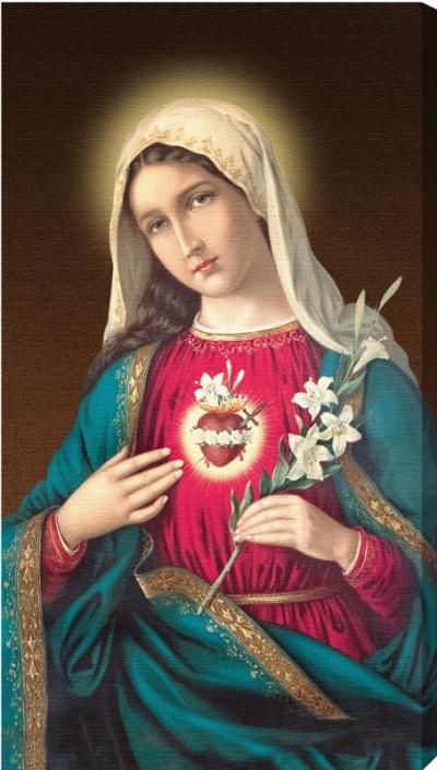 Immaculate Heart of Mary 10 x 18 Canvas Print dma mh10