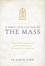 A Simple Explanation of the Mass (Hardcover)